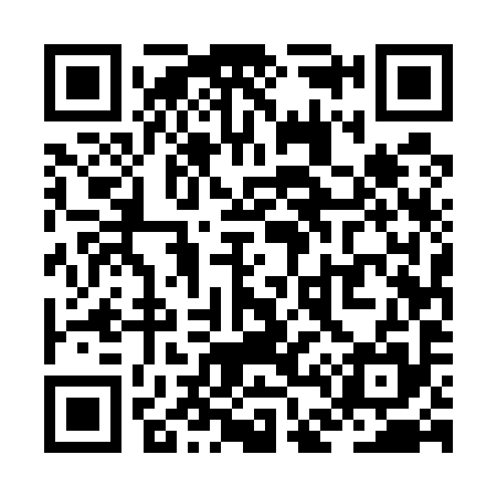 QR code for ZD5595