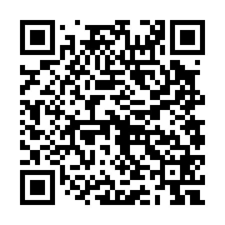 QR code for ZD6068