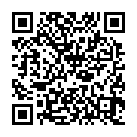 QR code for ZD6333