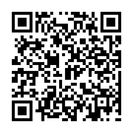 QR code for ZD6383