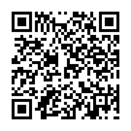 QR code for ZD8295