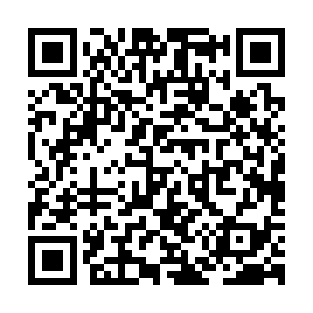 QR code for ZE0339