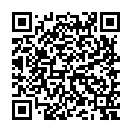 QR code for ZE5991