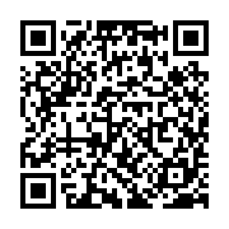 QR code for ZE9295