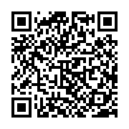 QR code for ZF0228