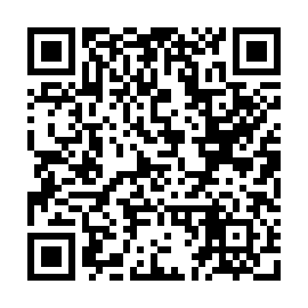 QR code for ZF0382
