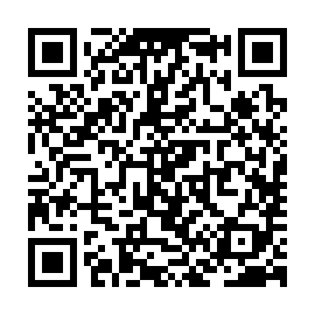 QR code for ZF2389