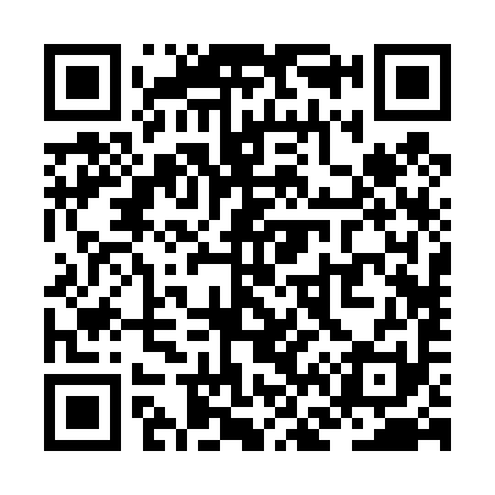 QR code for ZF2491