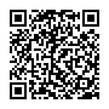 QR code for ZF2539