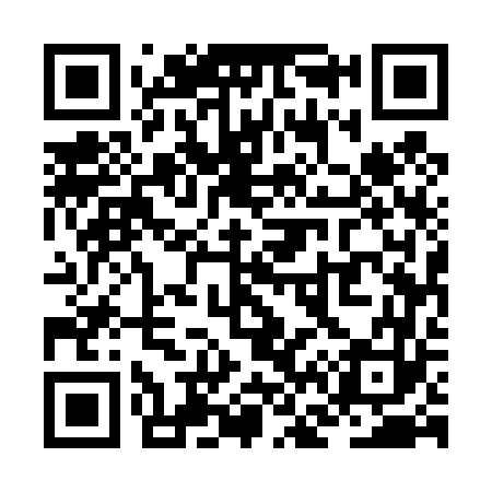 QR code for ZF5463