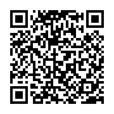 QR code for ZF6028