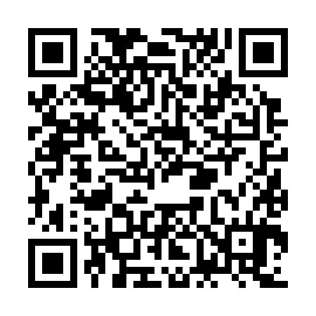 QR code for ZF6384
