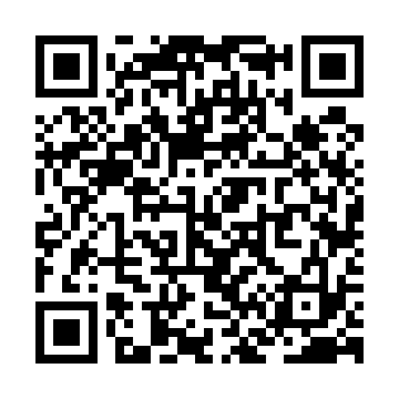 QR code for ZF6533