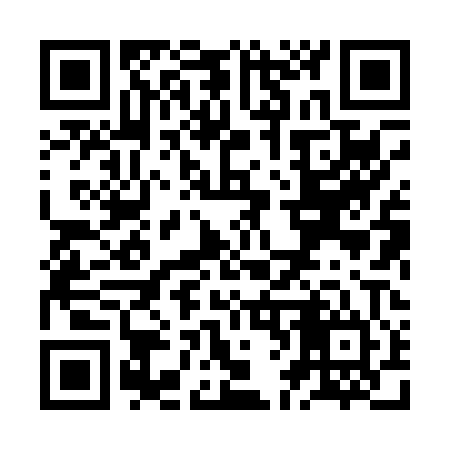 QR code for ZF8004