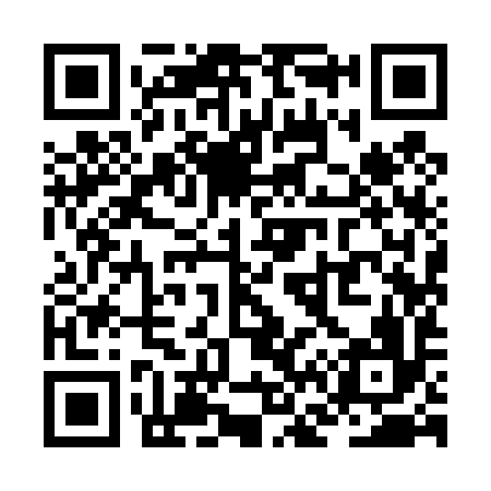 QR code for ZF9496