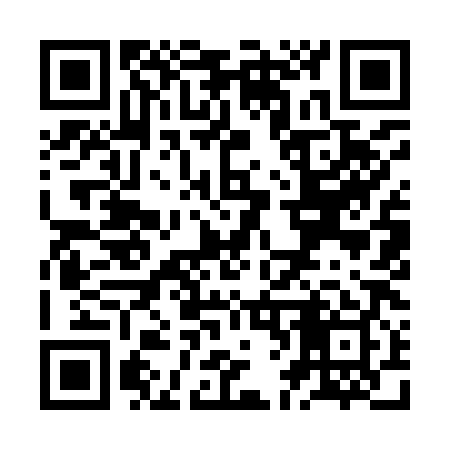 QR code for ZF9989
