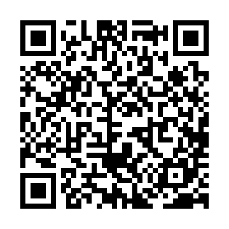 QR code for ZG0385