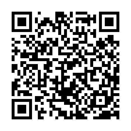 QR code for ZG0655