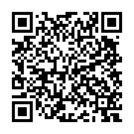 QR code for ZG2413