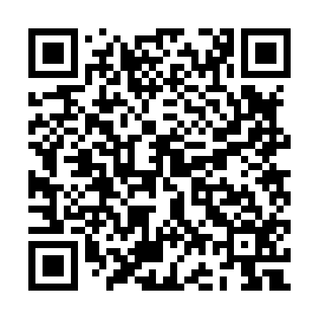 QR code for ZG2816