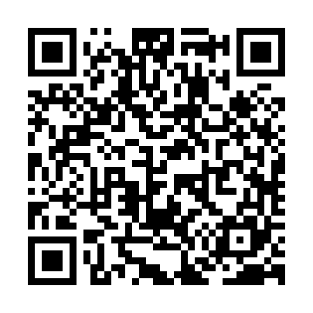 QR code for ZG2865