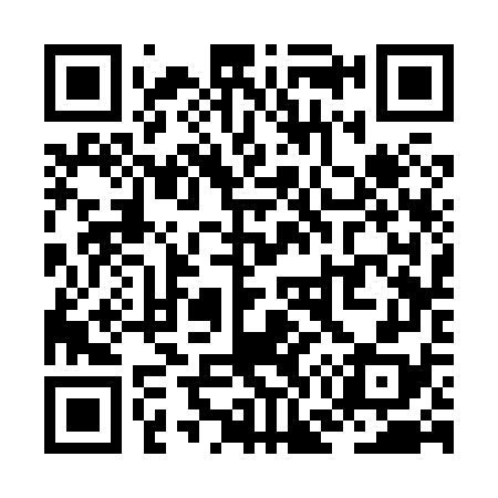 QR code for ZG3878
