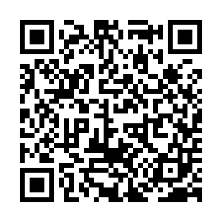 QR code for ZG3903
