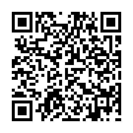 QR code for ZG4119