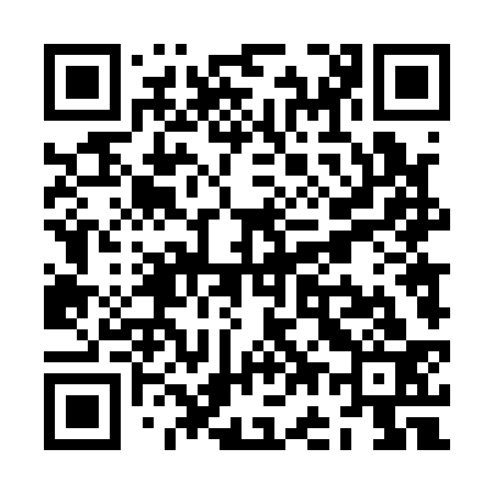 QR code for ZG4133