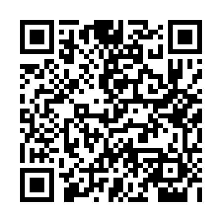 QR code for ZG4161