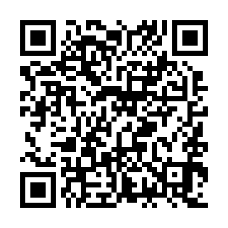 QR code for ZG4291