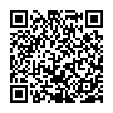 QR code for ZG4311