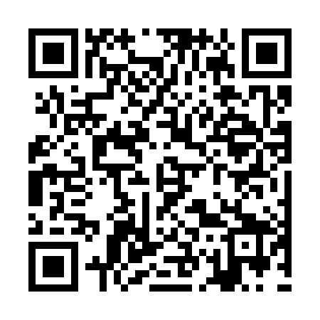 QR code for ZG6389