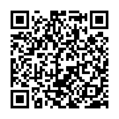 QR code for ZG6599