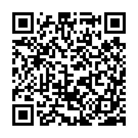 QR code for ZG6663
