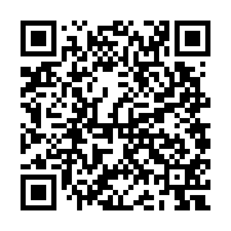 QR code for ZG6711