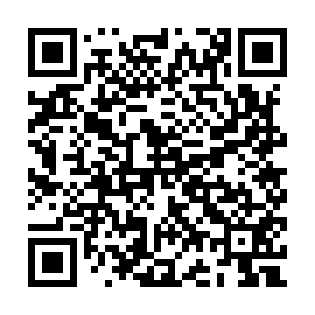 QR code for ZG7951