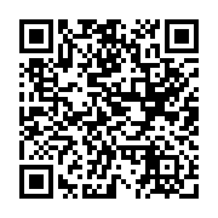 QR code for ZG9111