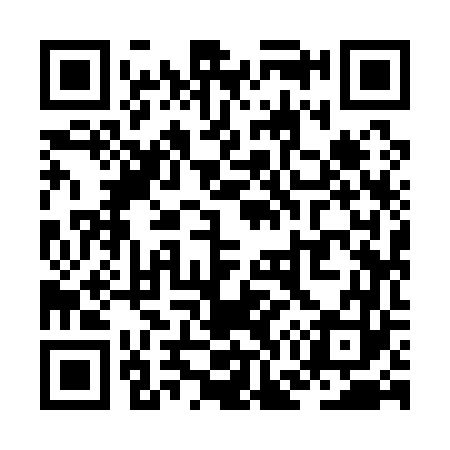 QR code for ZG9163