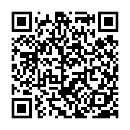 QR code for ZG9608