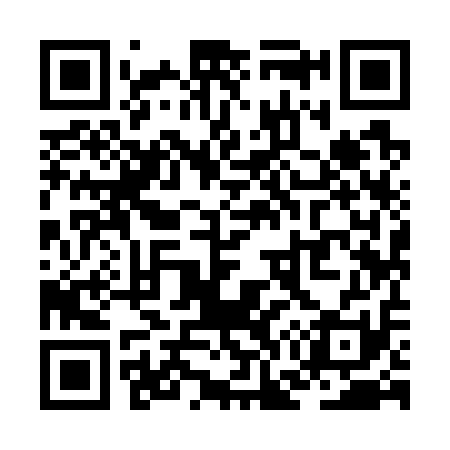 QR code for ZG9711