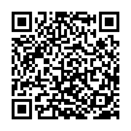 QR code for ZH0368