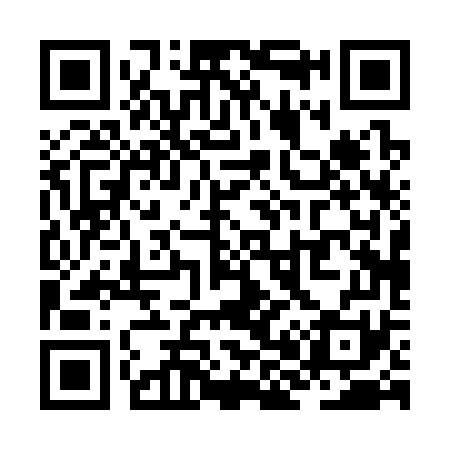 QR code for ZH0371