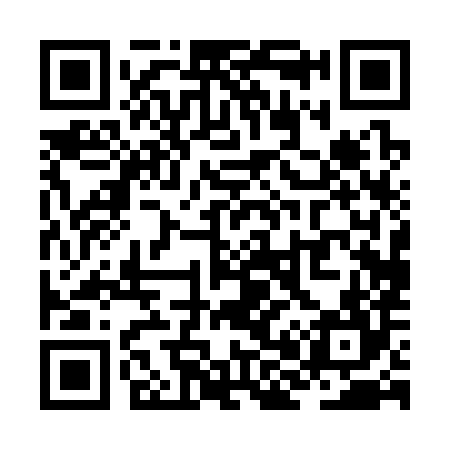 QR code for ZH0384