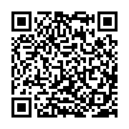 QR code for ZH0398