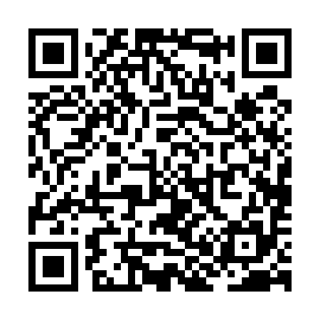 QR code for ZH0595