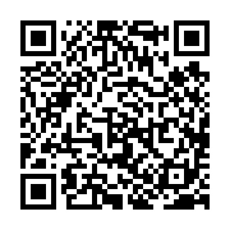 QR code for ZH0691
