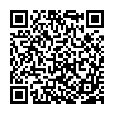 QR code for ZH3953