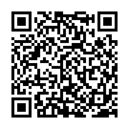 QR code for ZH5333