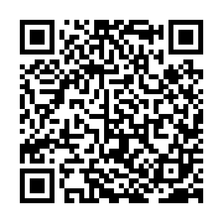QR code for ZH6203